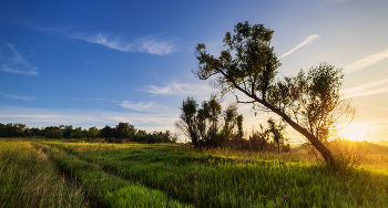 Under the blue sky / ***