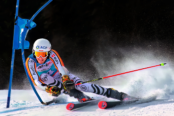 Stangenvernichter / ***