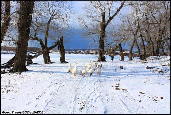 We lived at the granny ... / ***