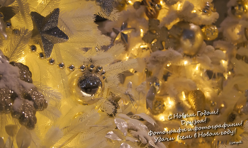 Happy New Year! / ***