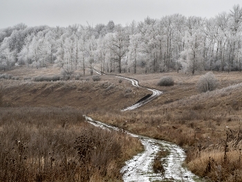 Happy New Year !!! / /\/\/\/\