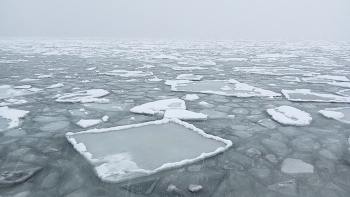 Happy New Year! / ...