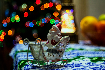 Happy New Year! / ***