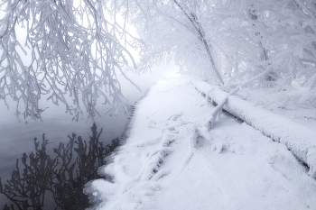 In the frosty mist / ***