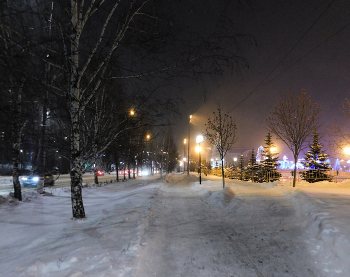 Evening in January / ***