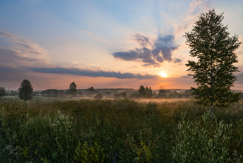 Morning flight / ***