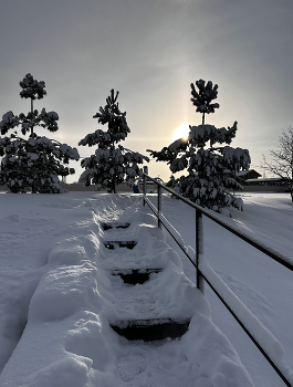 Autumn Sunrise / ***