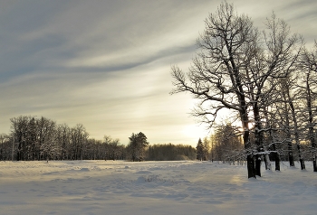 Frosty evening / ***