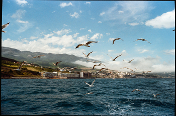 Fog dissipates / ***