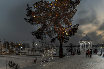 Winter picture / ***