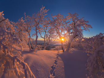 Frosty sunset / ***