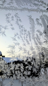 Drawing on glass / ***