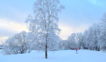 Winter landscape / ***