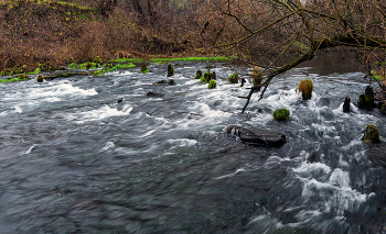 Last day of autumn / ***