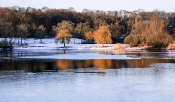 Frosty morning / ***