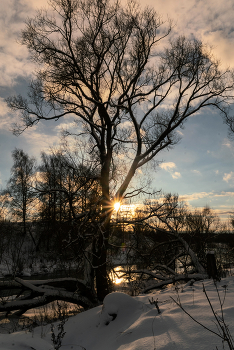 Winter Sun / ***