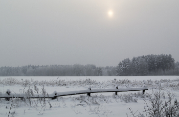 Frosty evening / ***
