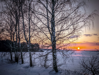 The January sunsets / ***