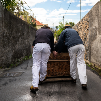 Carreiros do Monte / ***