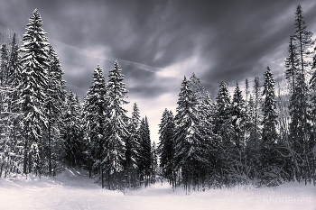 Weather recovered ... / ***