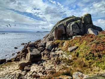 San Vicente do Mar (O Grove) - Pedras negras (roca forma tortuga) - Pontevedra / San Vicente do Mar (O Grove) - Pedras negras (roca forma tortuga) - Pontevedra