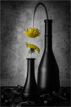 NATURAL SELECTION / ***