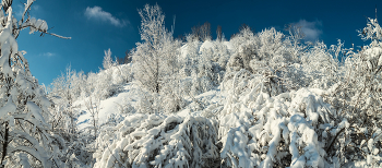 With baptism! / http://www.youtube.com/watch?v=7Jky1hMxrJE