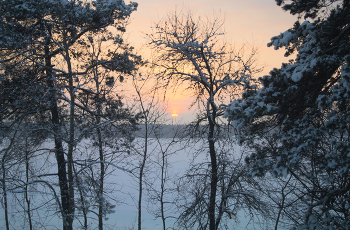 view from the window / ***