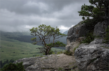 ***Higher than clouds / ***