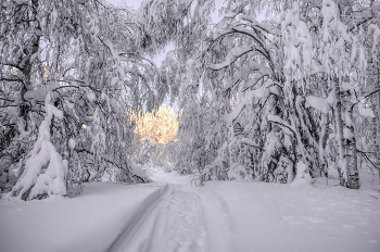 Toward the light / ***