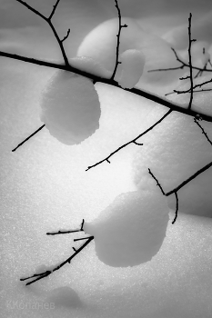 Weather recovered ... / ***