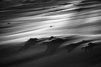 Weather recovered ... / ***