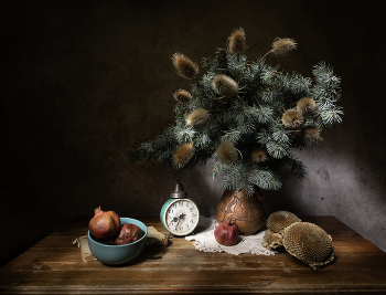 winter / ***