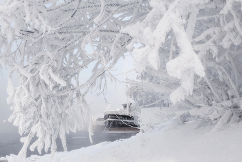 Waiting for Spring / ***