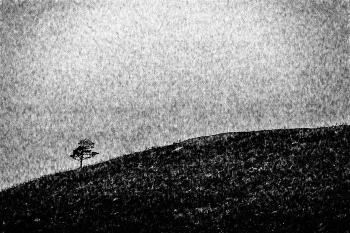 Life around / ***