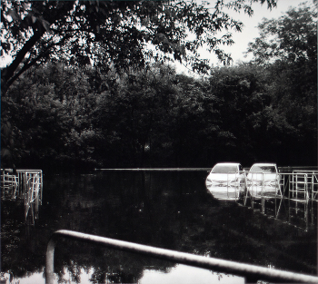 &nbsp; / ...