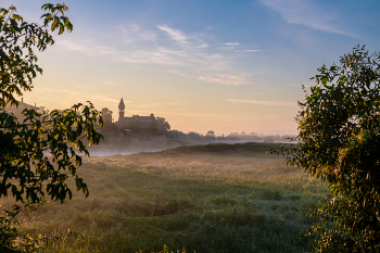 Summer morning. / ***