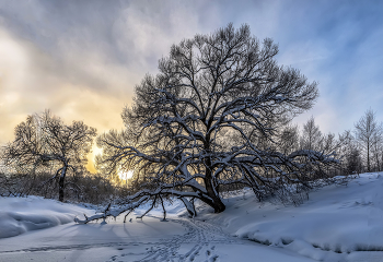 Winter dawn / ***