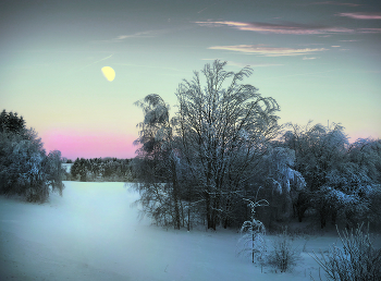 Frosty evening / ***
