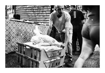 Basic Instinct / ***