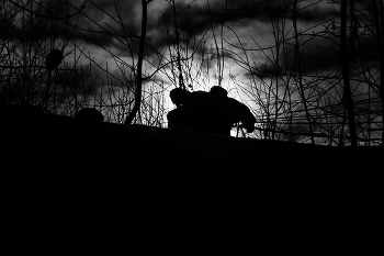Life around / ***