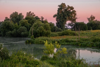 Summer morning. / ***