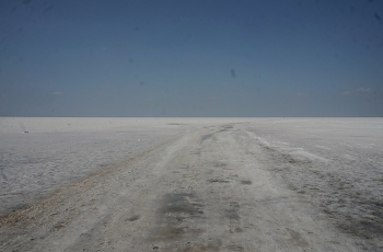 Salt / ***