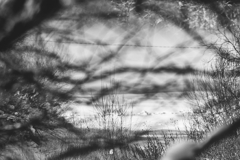 Life around / ***