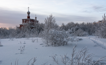 the snow / ***