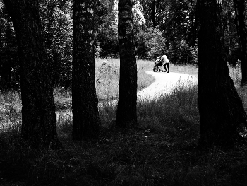 Elderly. / ***