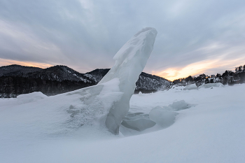 ice Age / ***