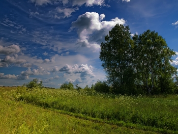 Native Land / ***