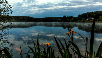 At dawn / ***