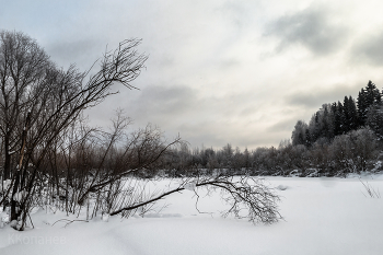 On the lake / ***